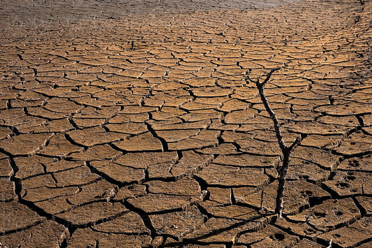 A Solution to Dry Skin in Winter