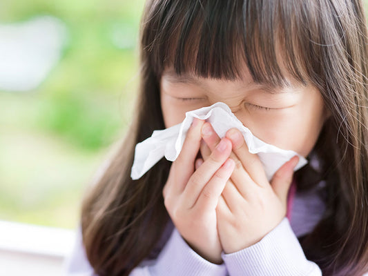 Humidifiers and Allergies: How to Find Relief